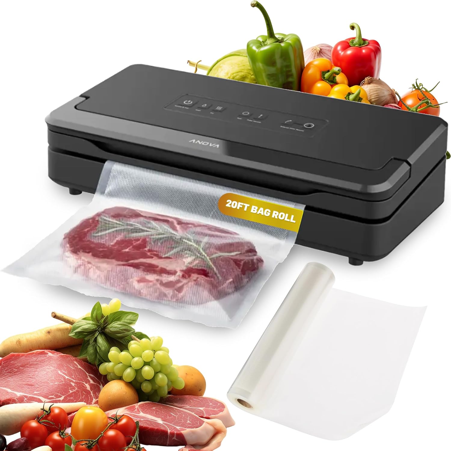 Dual Food Vacuum Sealer with B - Food Vacuum Sealer 리뷰 및 가격